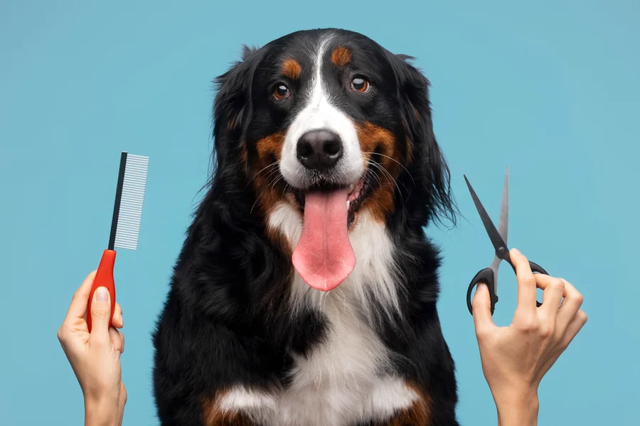Grooming Trends