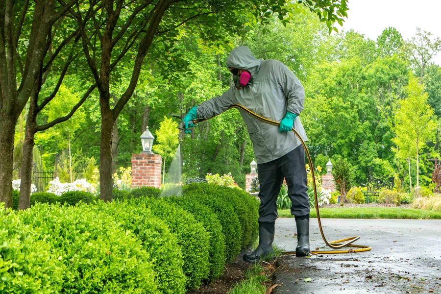 How Proper Tree Care Boosts Community Health in Nashville, TN
