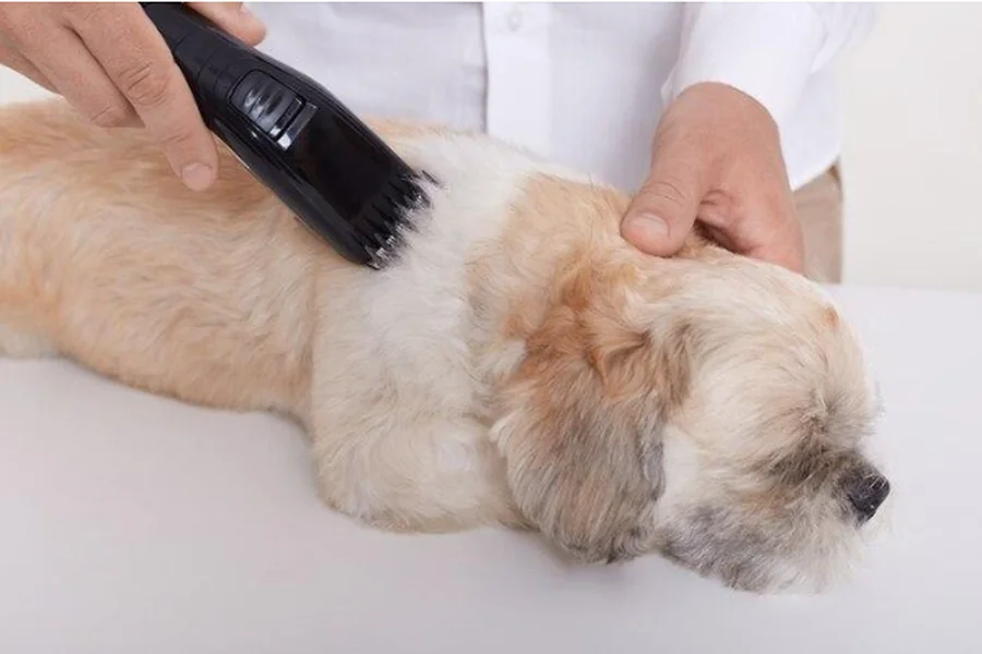 Maintain the Dog Clippers