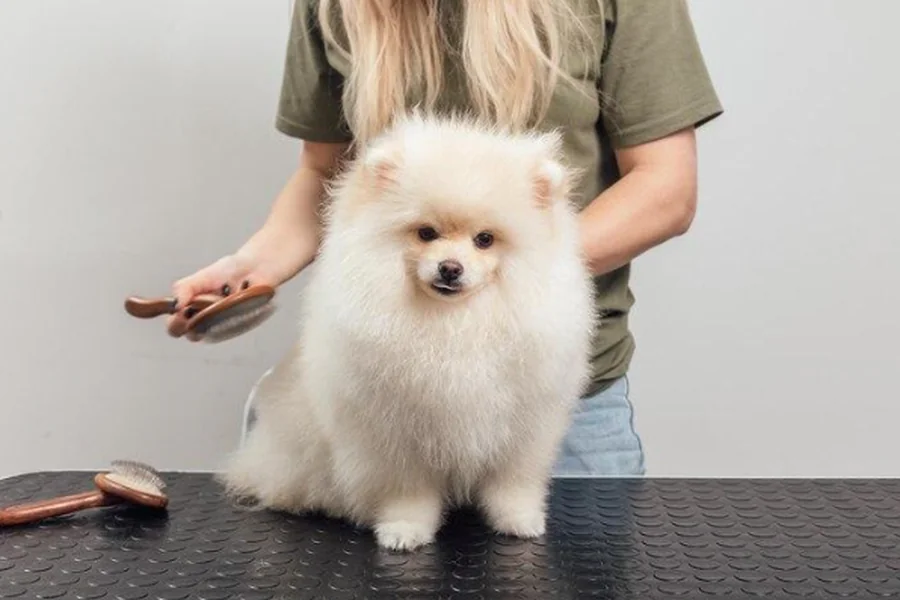 Prepare the Coat Before Clipping