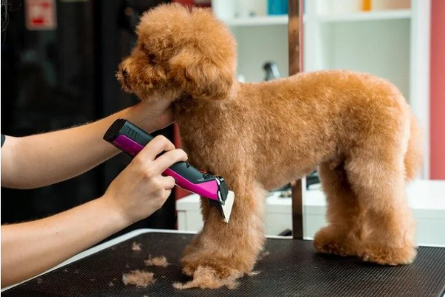 Dog Clippers