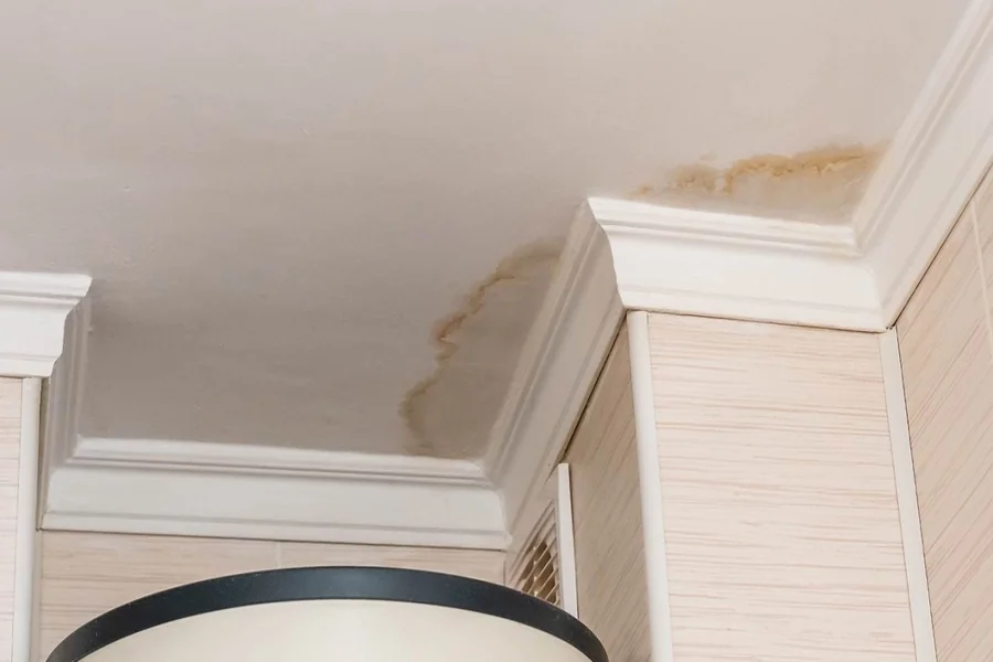 Roof Leaks