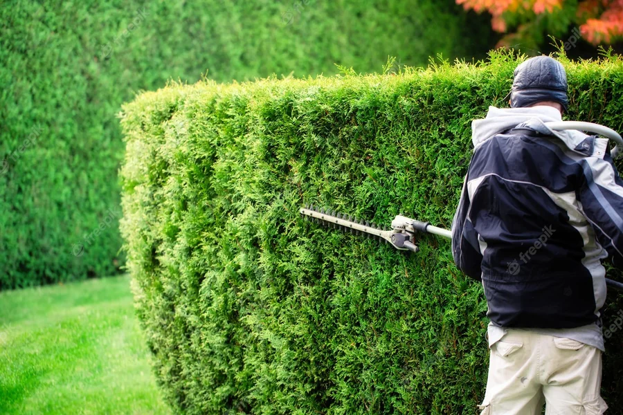 Hedges