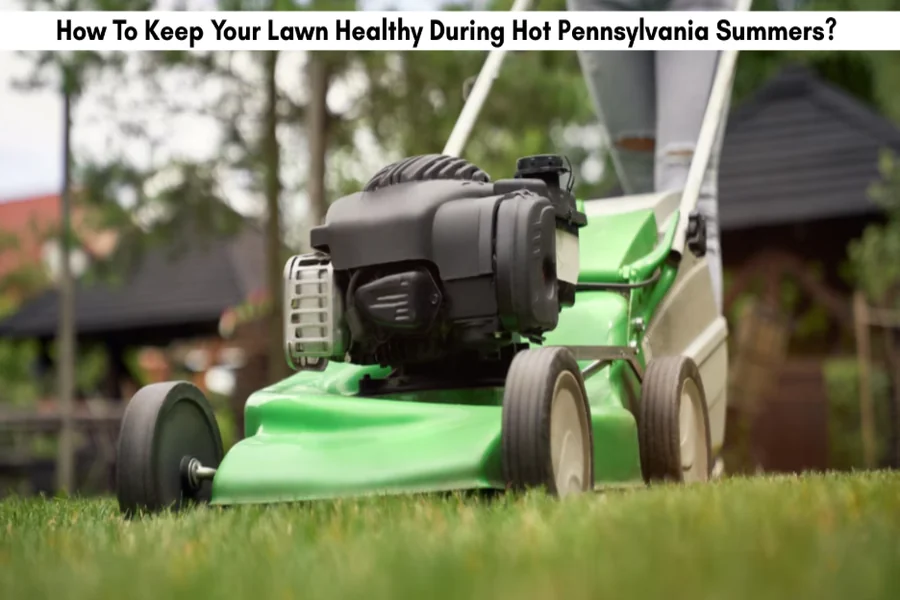 How To Keep Your Lawn Healthy During Hot Pennsylvania Summers
