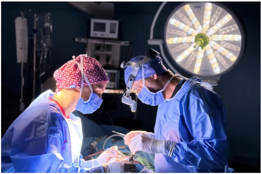 Neurosurgeon