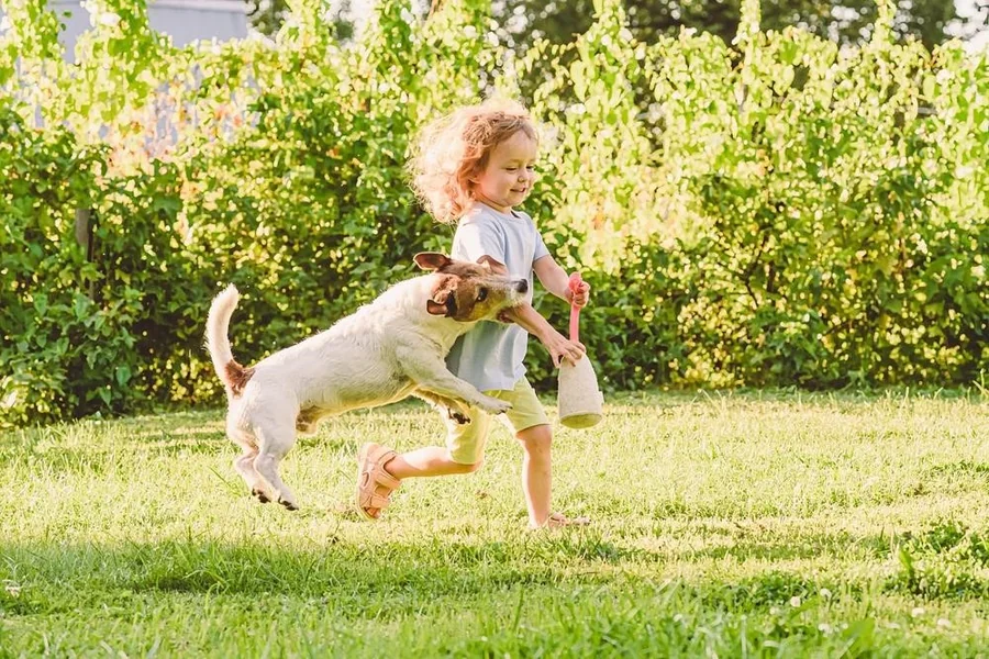 Dog Bite