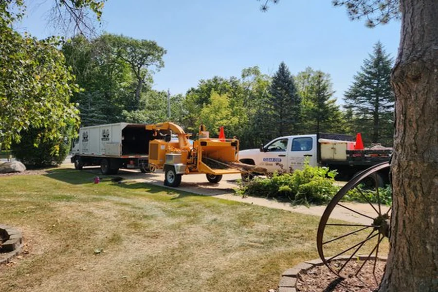 Top 5 Tree Service Companies in Burlington, Wisconsin
