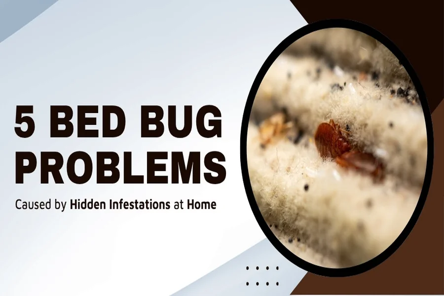 5 Bed Bug Problems