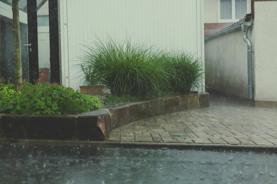 Home for Monsoon Weather