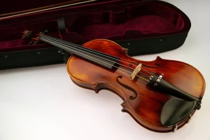 The Best Side of BAM Violin Case: Essential Tip to Safeguard Your Violin from Scratches