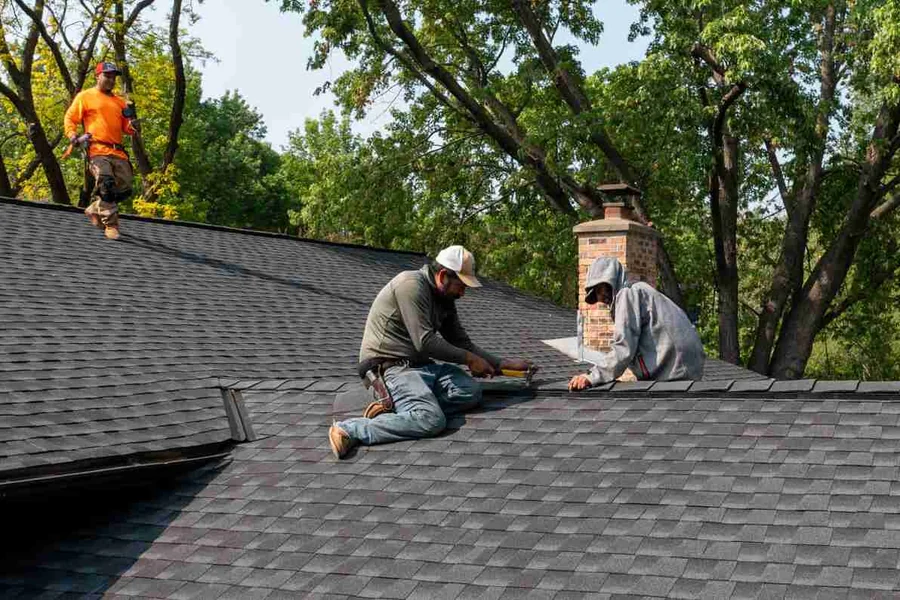 Roof Care