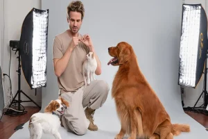 Why Urban Dogs Thrive With Structured Daytime Care