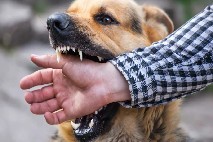 Attack